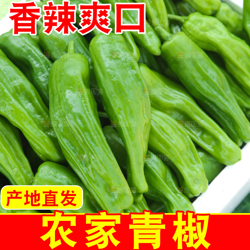 青椒