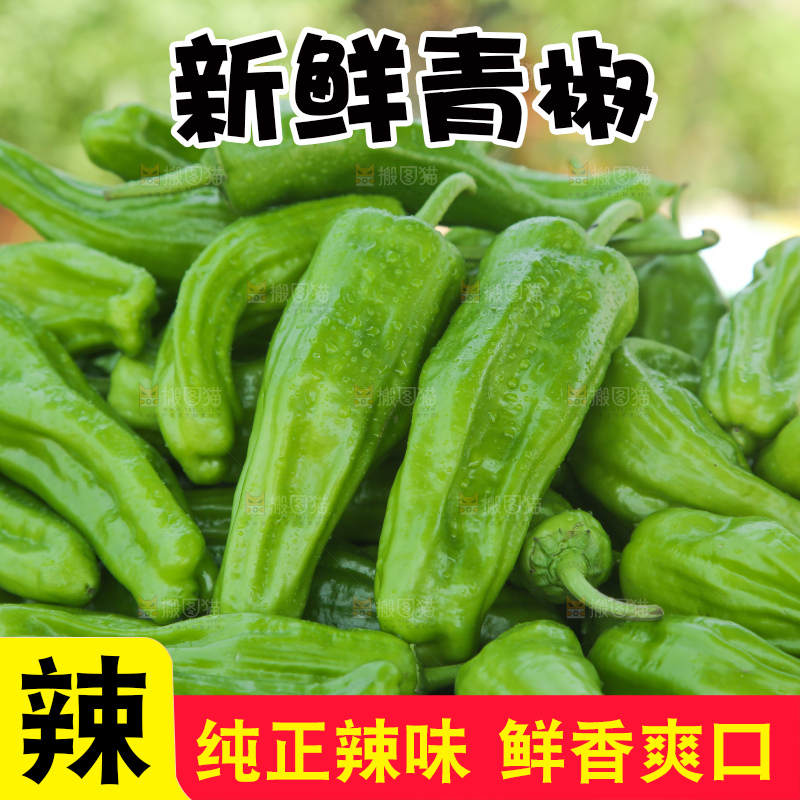 青椒