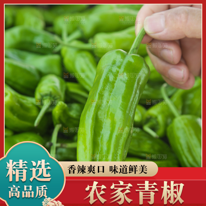 青椒