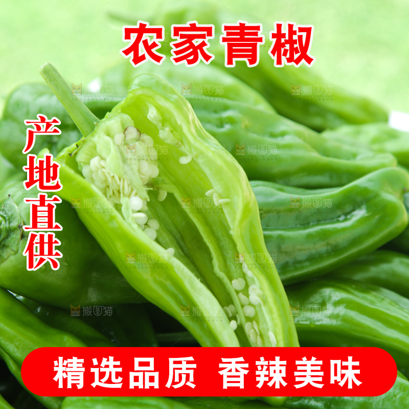 青椒