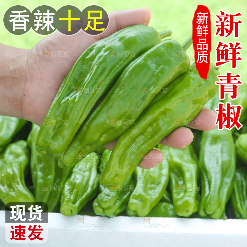 青椒