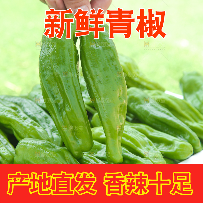 青椒
