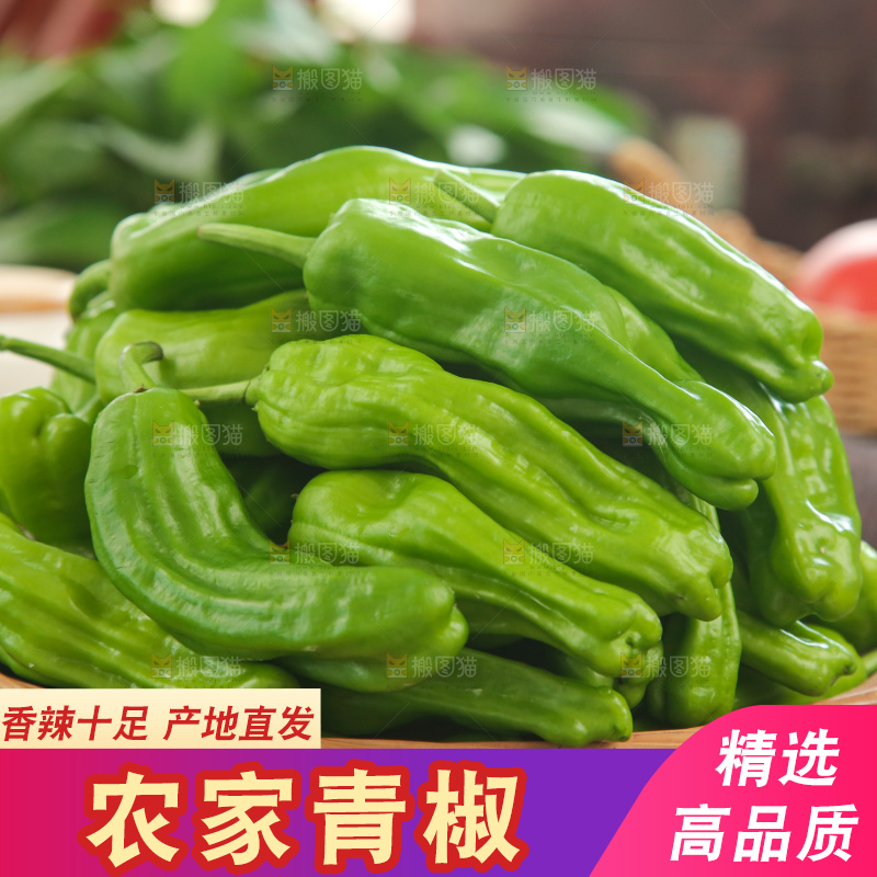 青椒