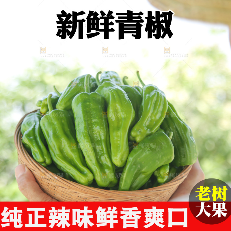 青椒