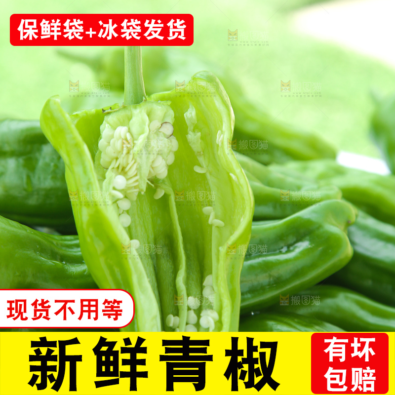 青椒