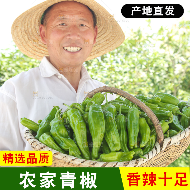 青椒