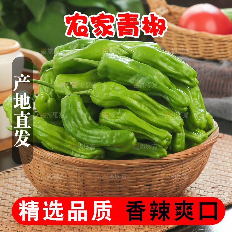 青椒