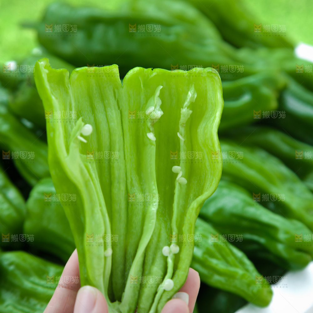 青椒
