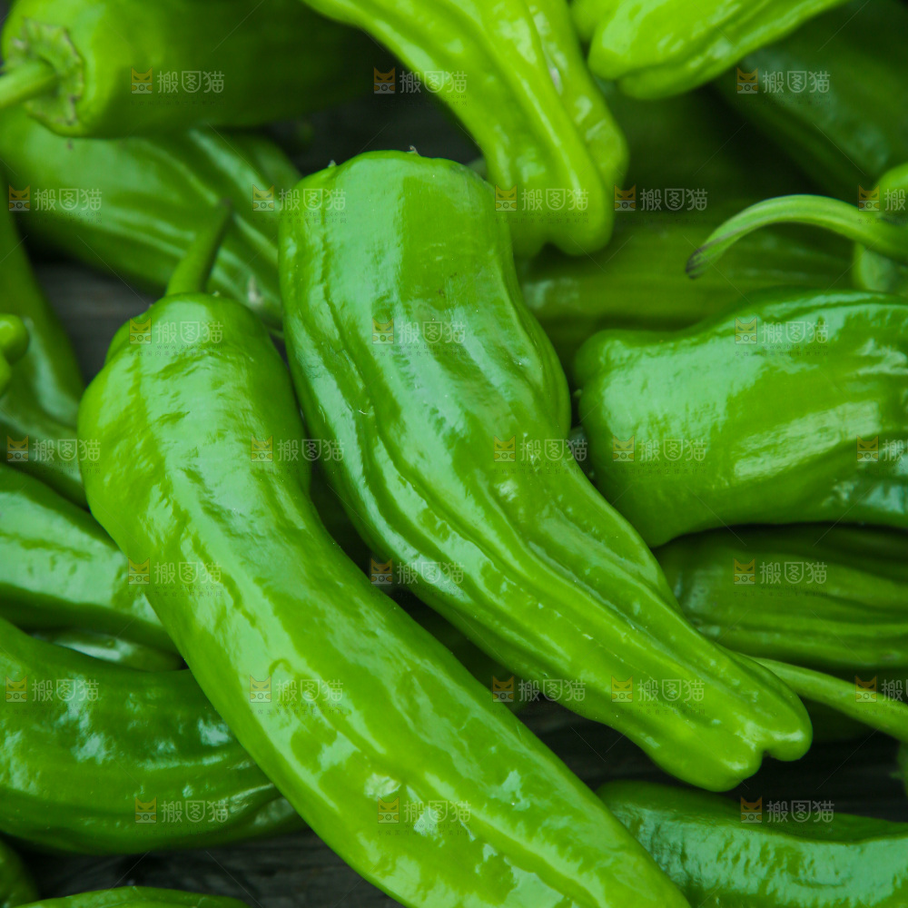 青椒