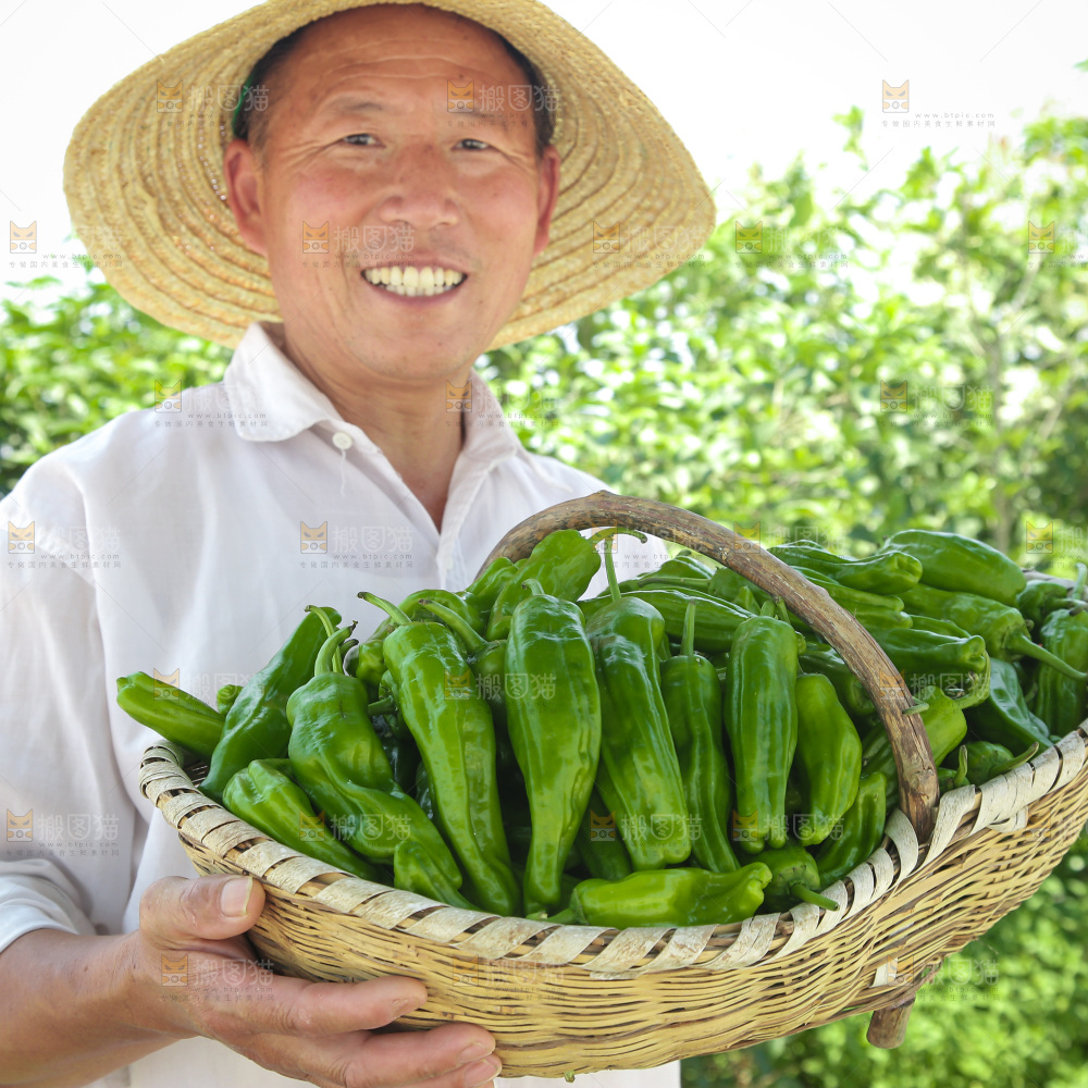 青椒