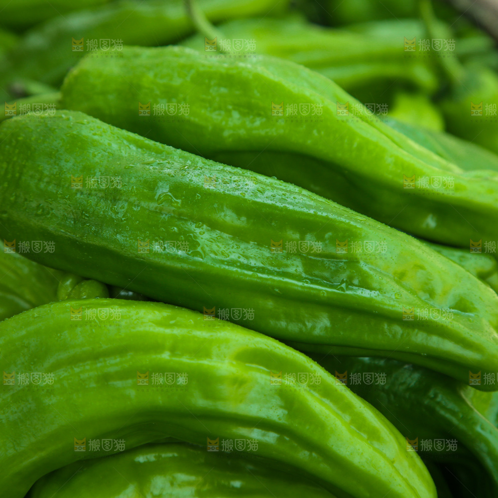 青椒