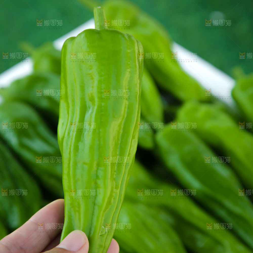 青椒