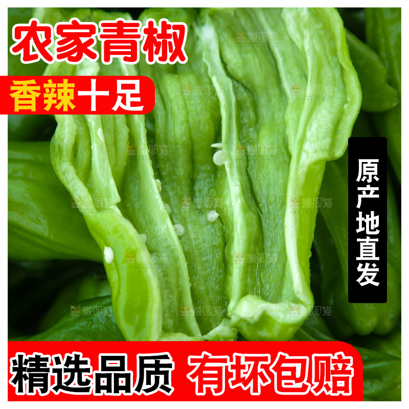 青椒