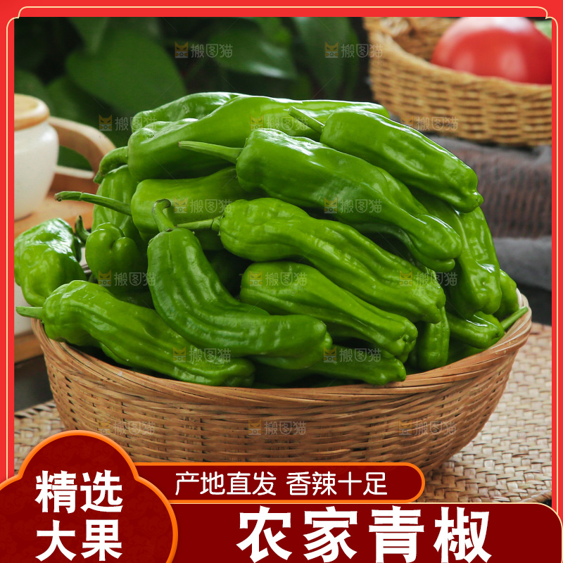 青椒