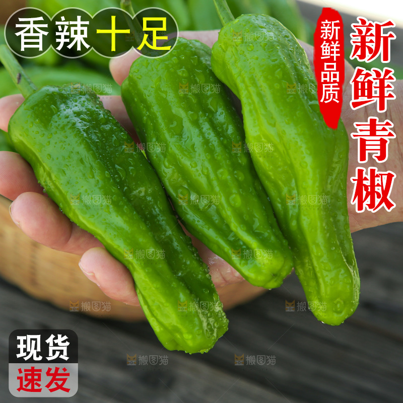 青椒