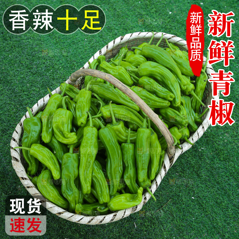 青椒