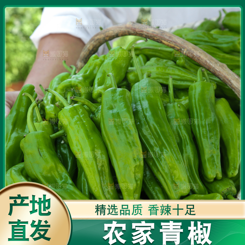 青椒