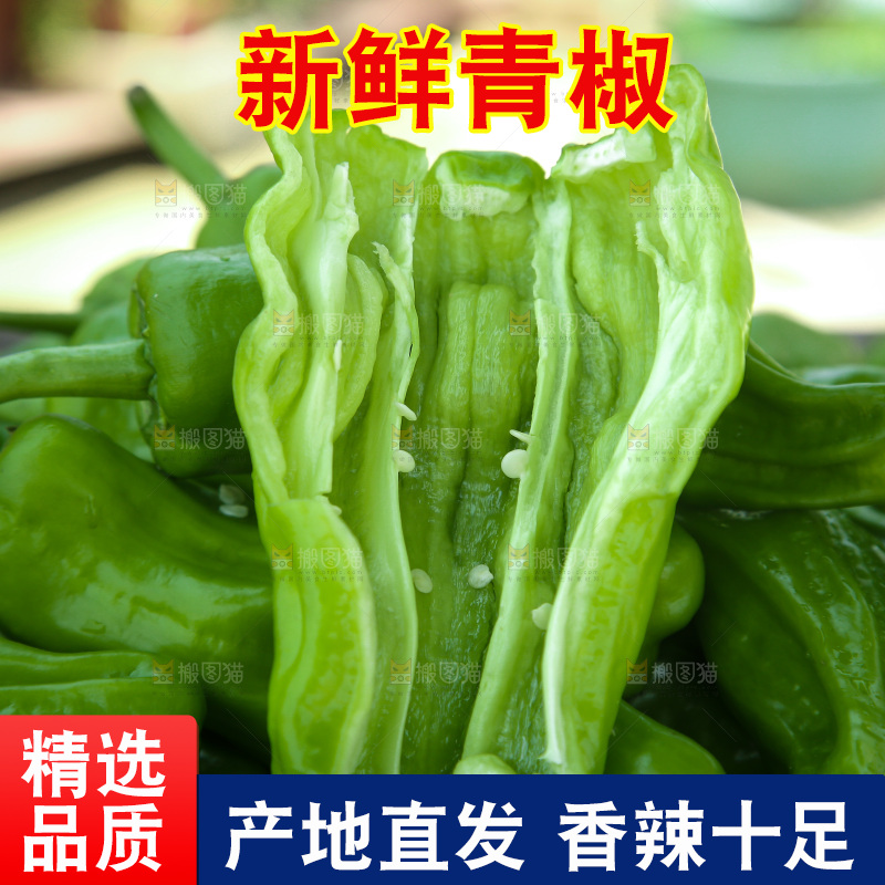 青椒
