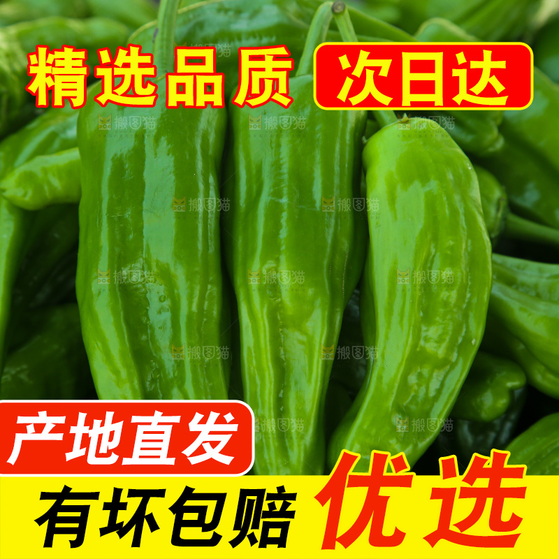 青椒