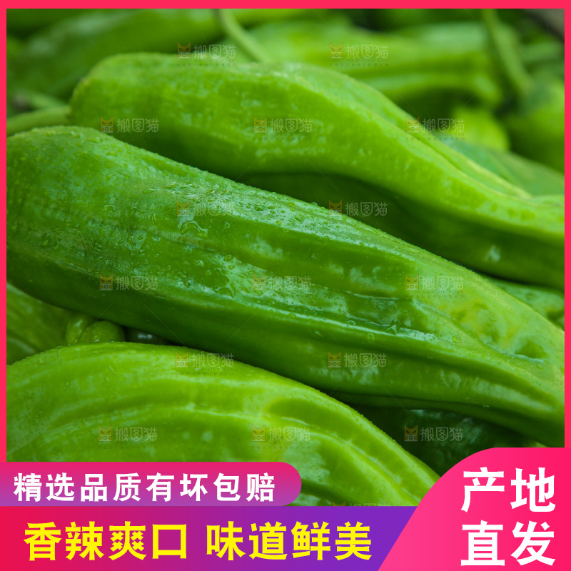 青椒