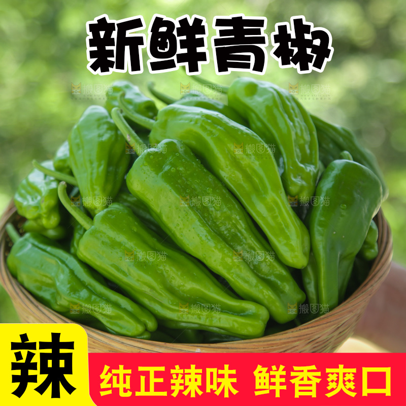青椒