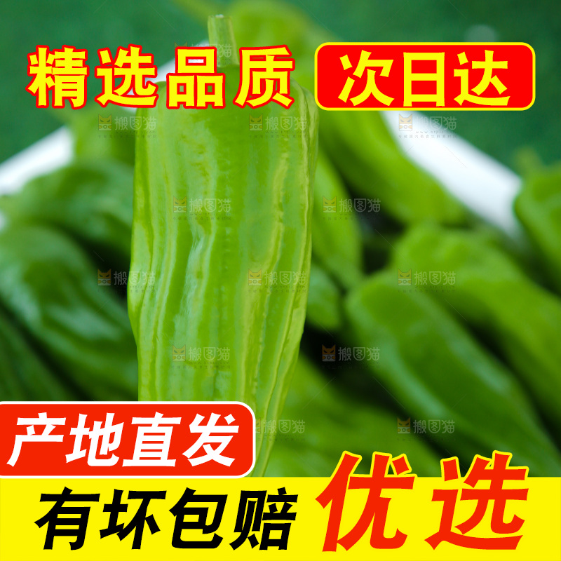青椒