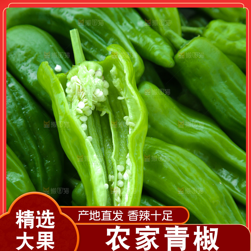 青椒