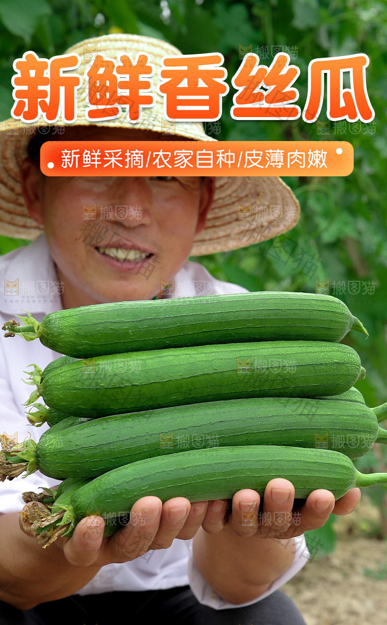 丝瓜详情页