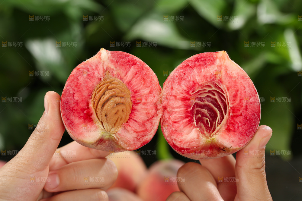 胭脂红桃子