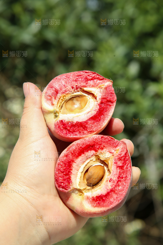 胭脂红桃子