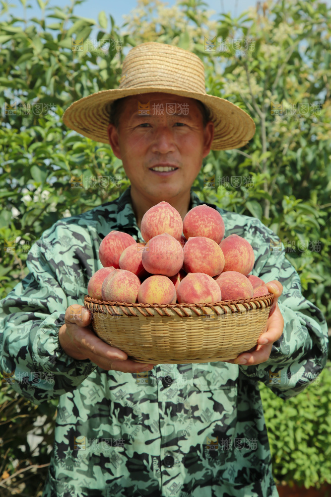 胭脂红桃子