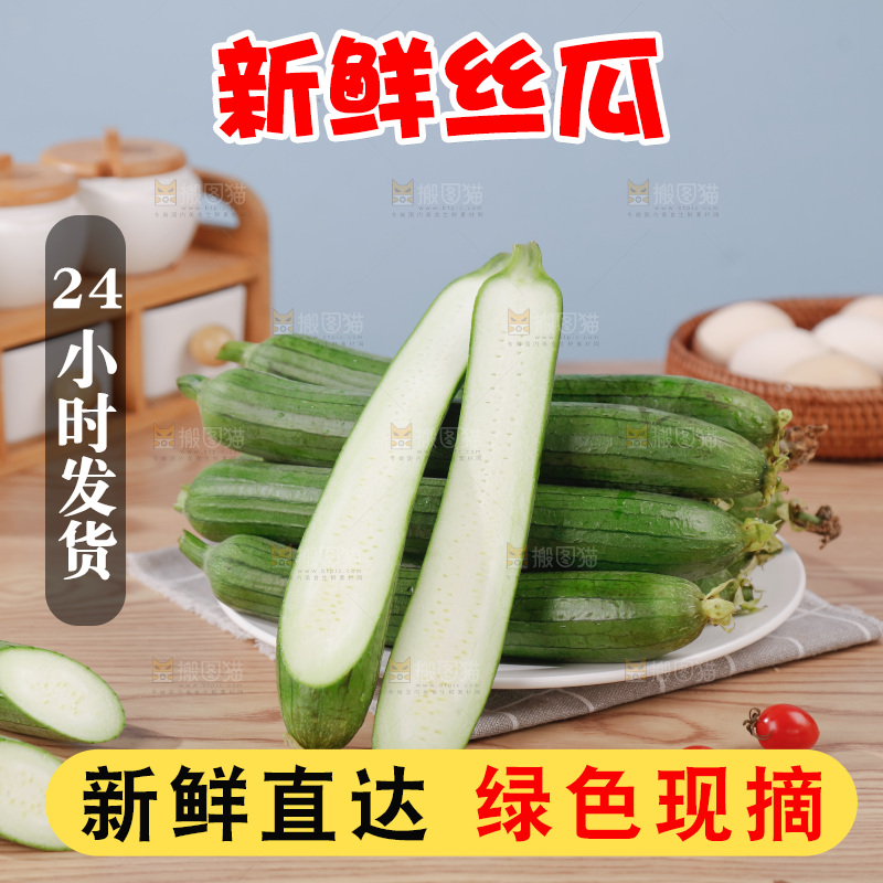 丝瓜