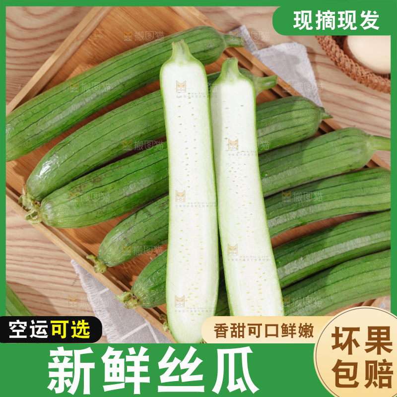 丝瓜