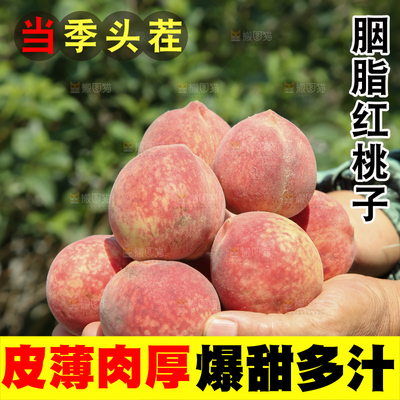 胭脂红桃子