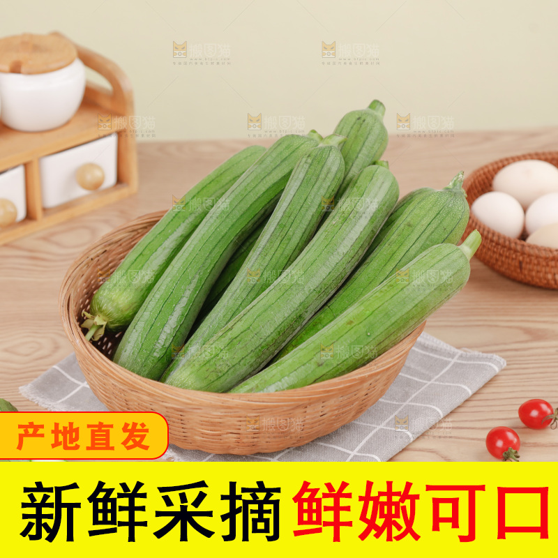 丝瓜