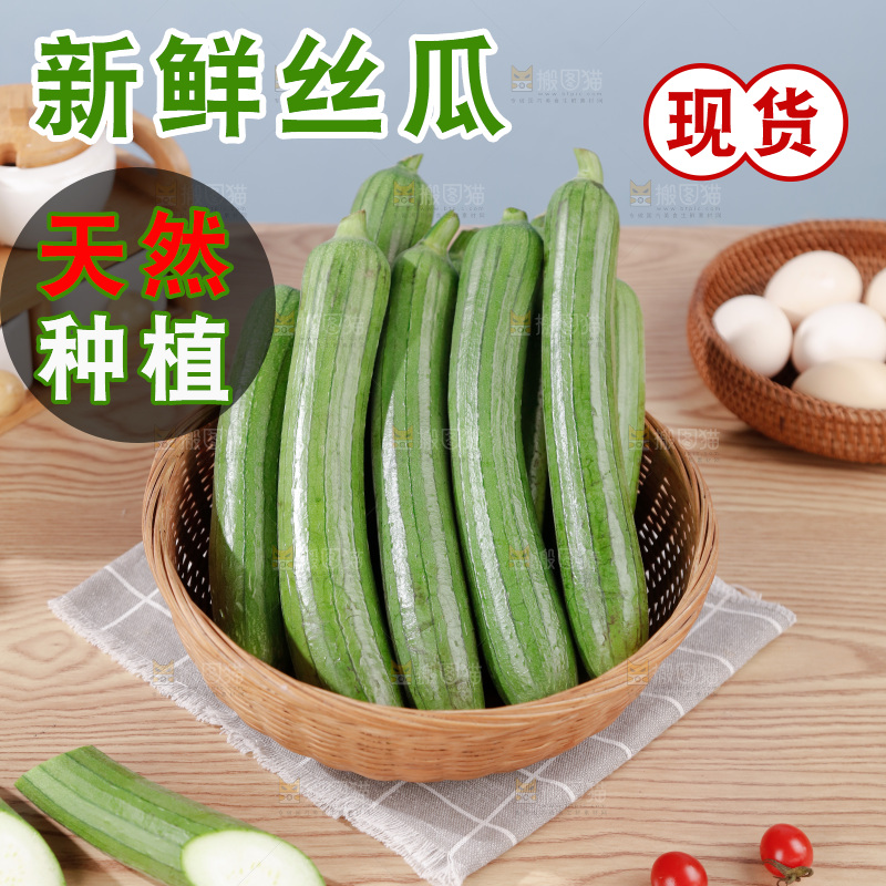 丝瓜