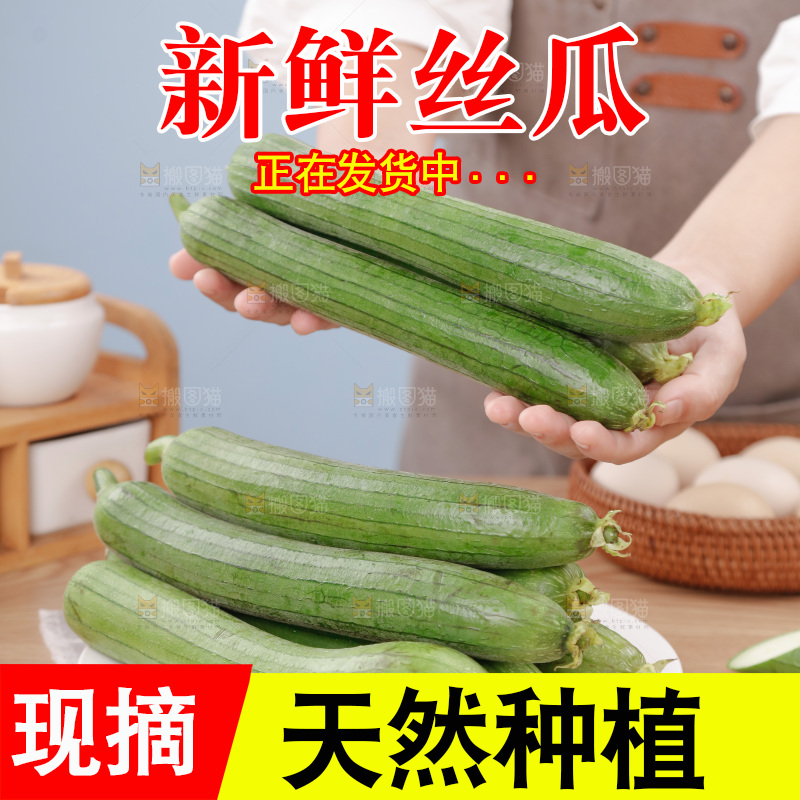 丝瓜