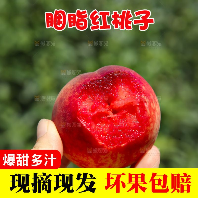 胭脂红桃子