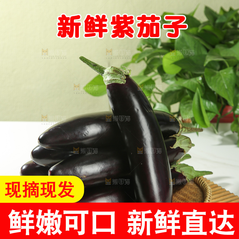 茄子