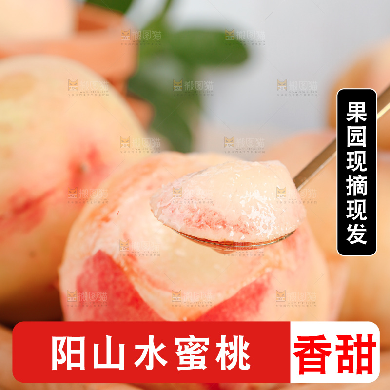 阳山水蜜桃