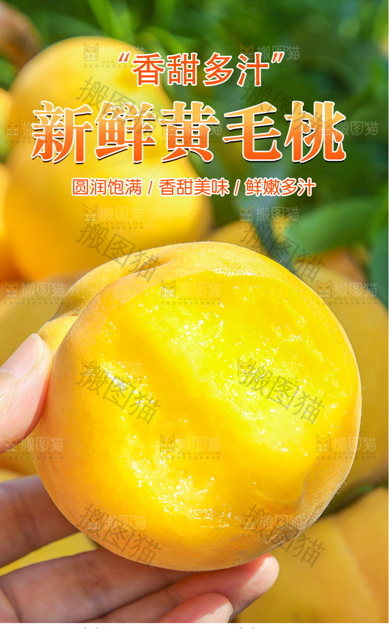 黄毛桃详情页