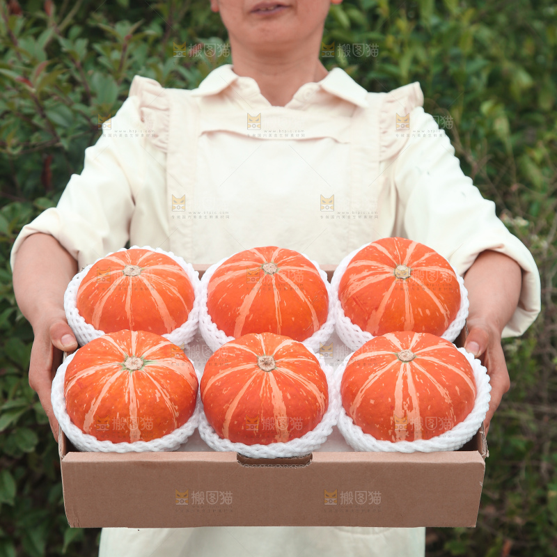 红贝贝南瓜