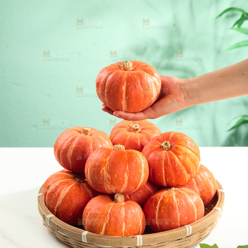 红贝贝南瓜