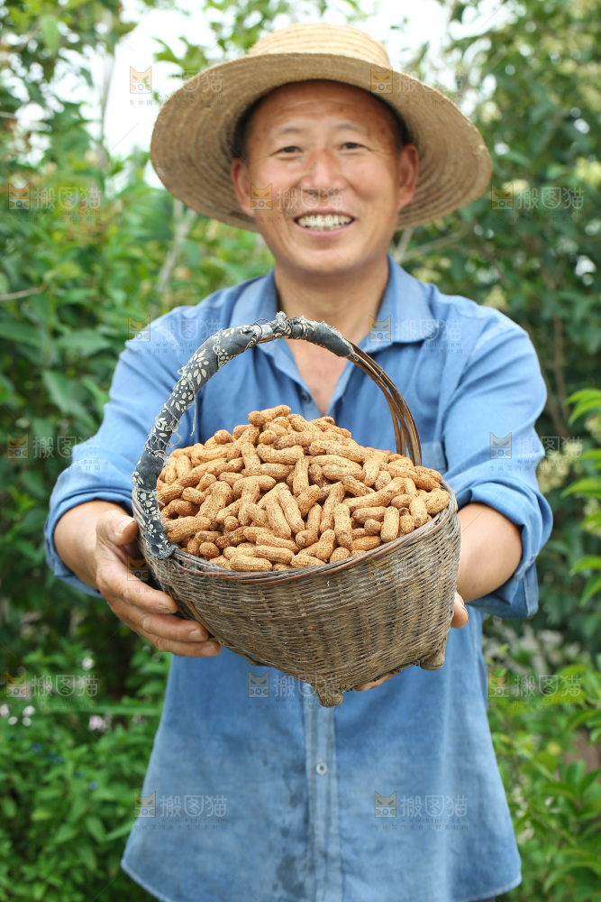 红皮花生