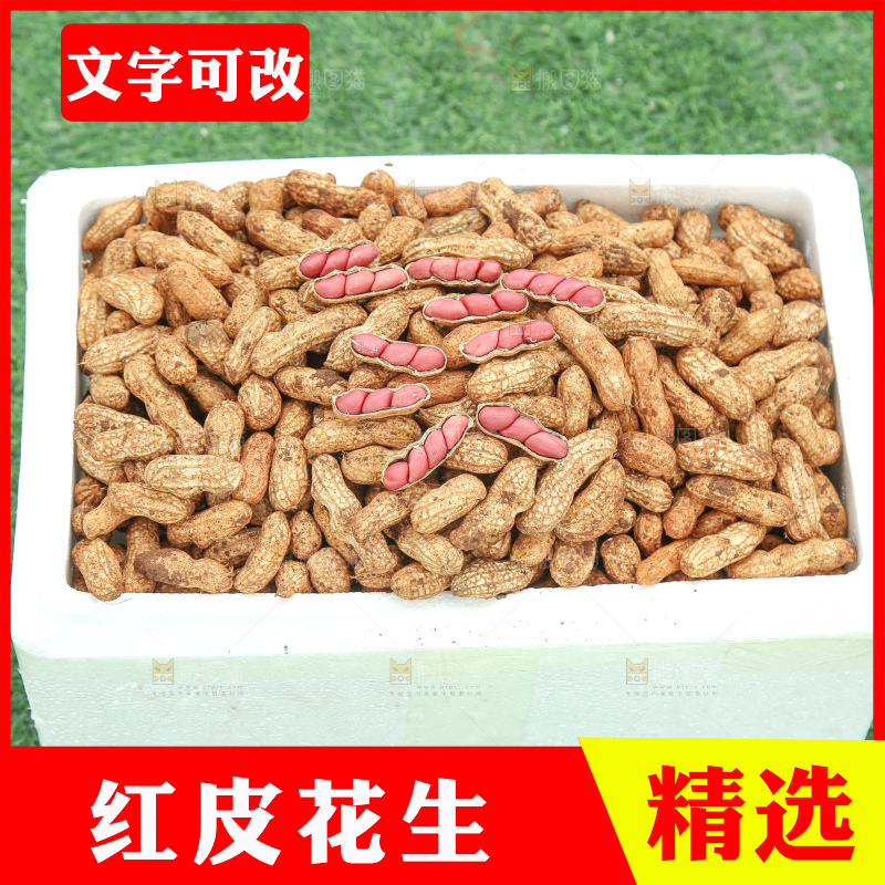 红皮花生
