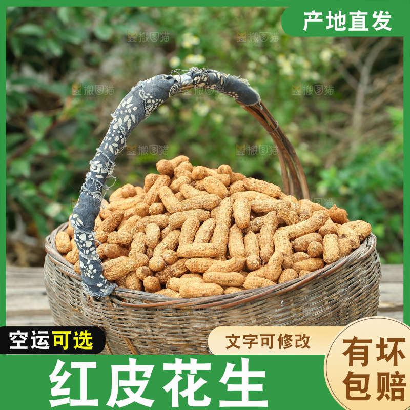 红皮花生