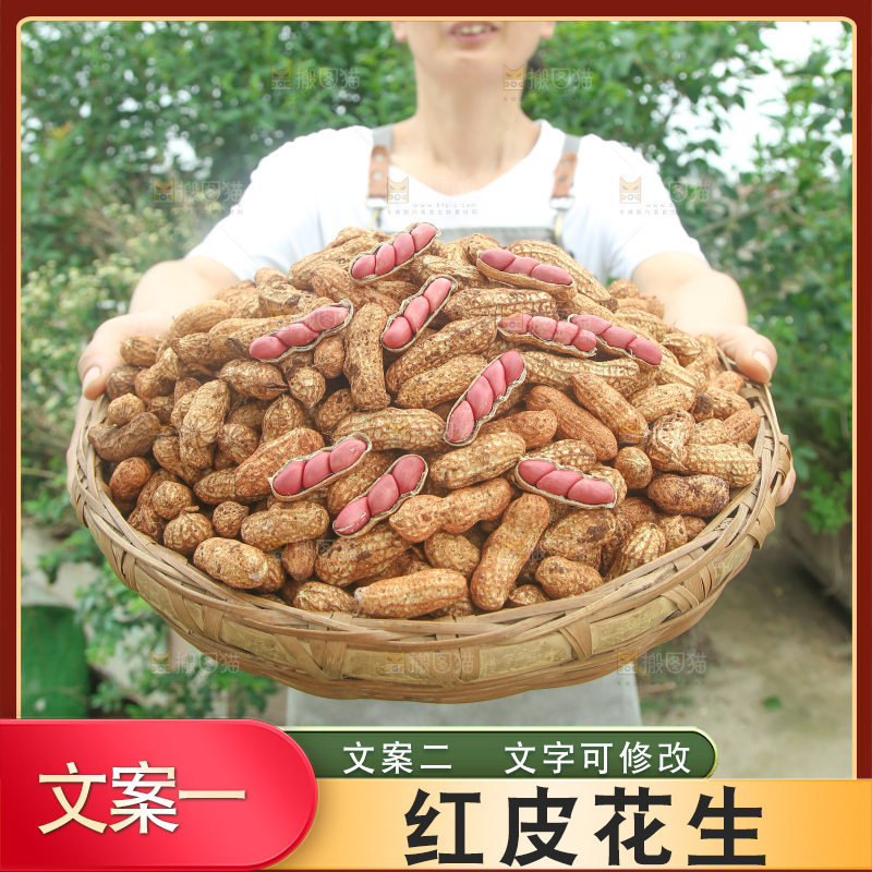 红皮花生