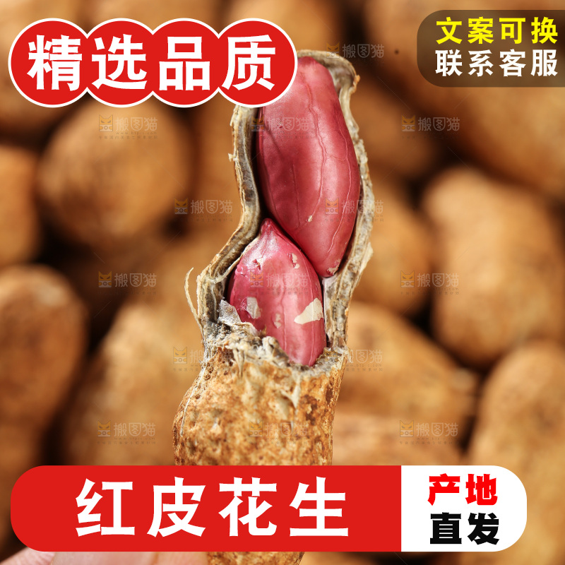 红皮花生