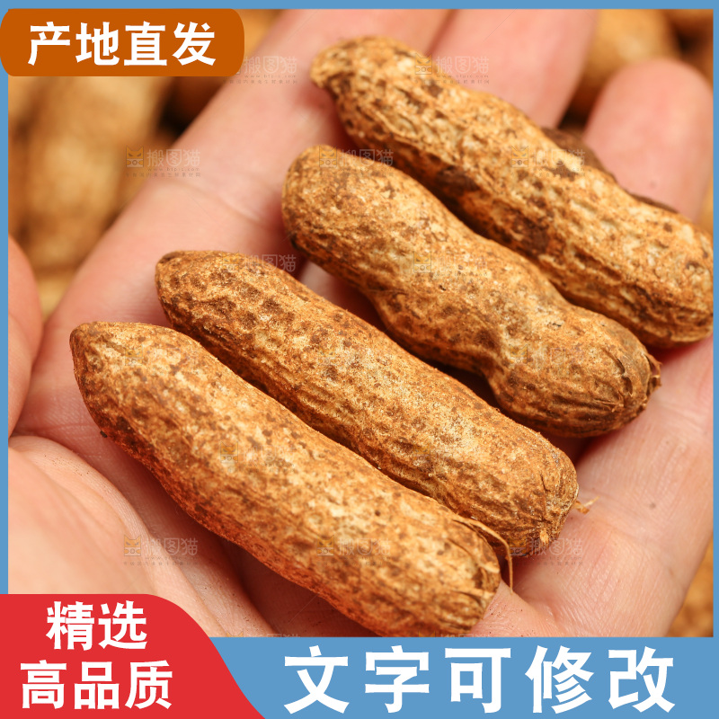 红皮花生