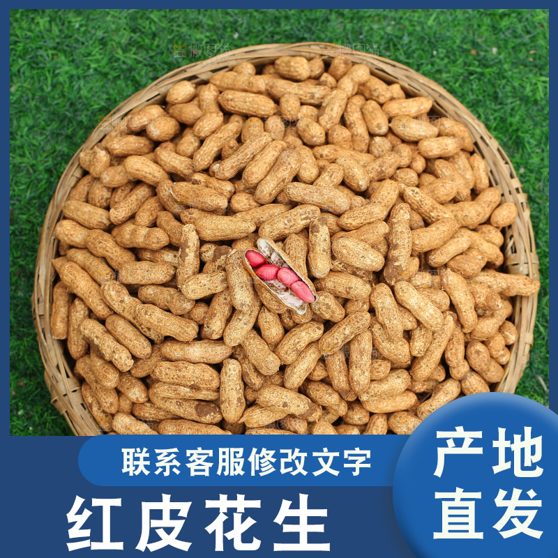 红皮花生